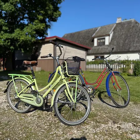 Tiigi Enjoy Center With Free Bikes And Self Check-in * Kärdla